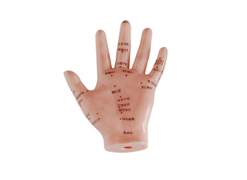手针灸模型13CM