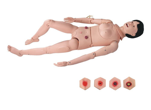 高级组合式基础护理人训练模型（女性）