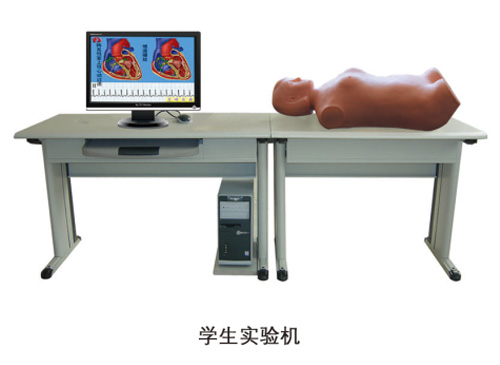 腹部检查教学系统