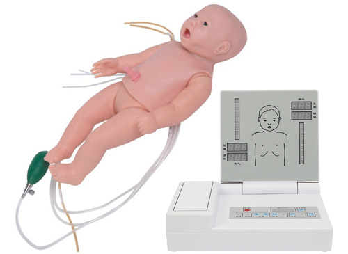 全功能新生儿高级模拟人（急救+护理+听诊+除颤+心电监护）