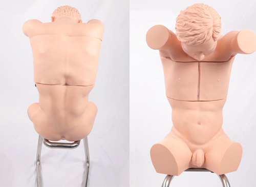 胸腔(背部)穿刺训练模型