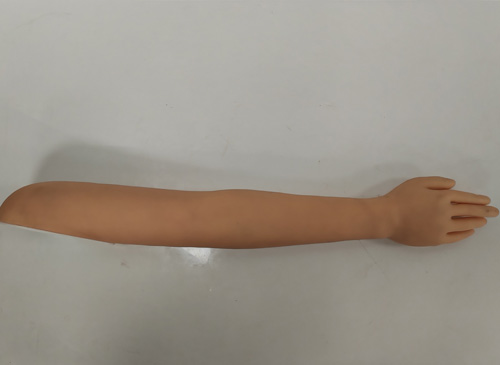 针灸手臂训练模型