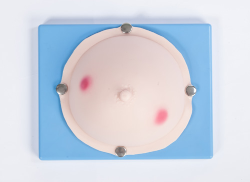 乳腺脓肿检查操作模型