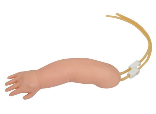 高级婴儿手臂静脉穿刺模型