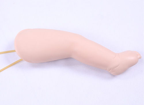 新生儿静脉输液腿部模型
