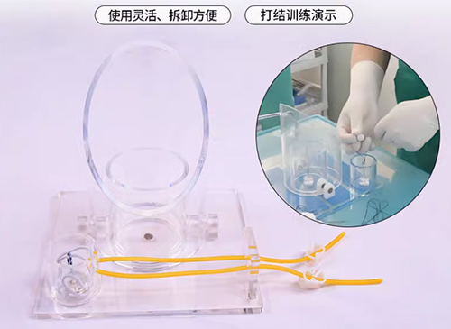 外科打结技能训练模型
