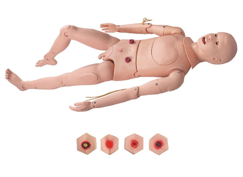 基础整体护理人模型（男性）