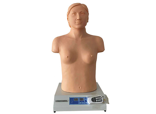 数字遥控式心肺触诊听诊电脑模拟人