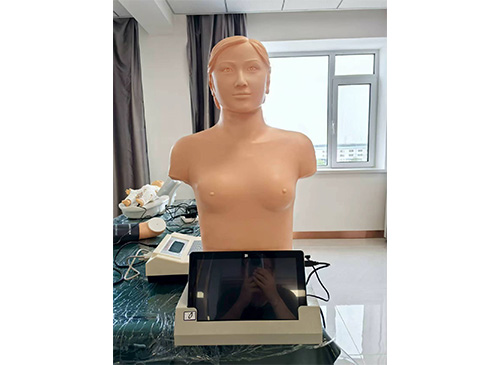 大屏幕心肺触诊听诊电脑模拟人