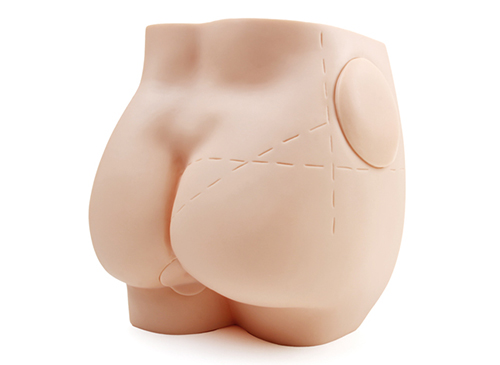 臀部肌肉注射模型