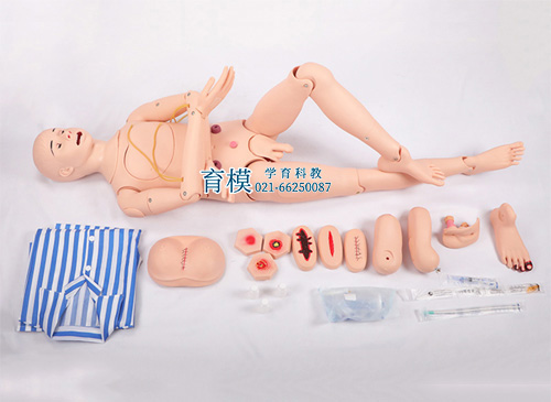 高级全功能护理人训练模型（男性）