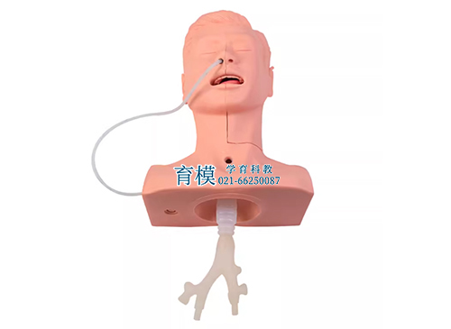 高级吸痰练习模型