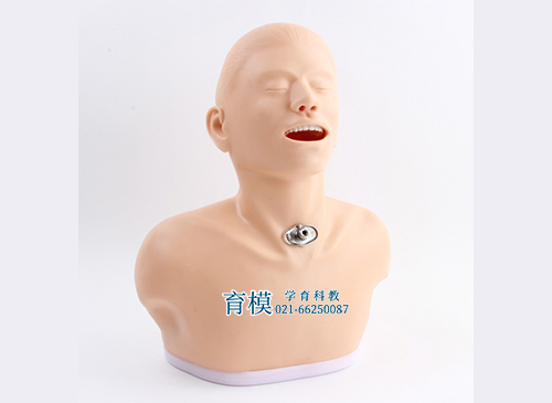 高级成人气管切开护理模型
