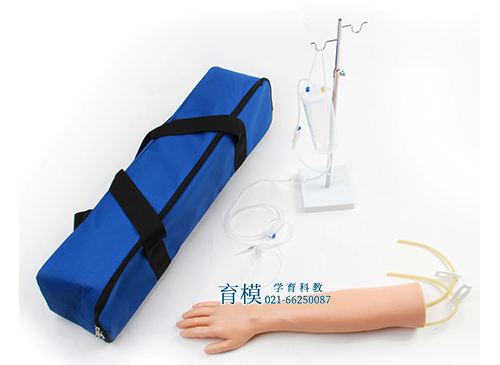 高级手臂静脉穿刺模型