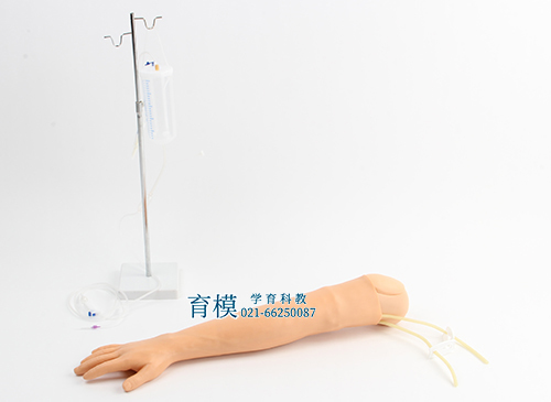 多功能静脉穿刺输液手臂模型