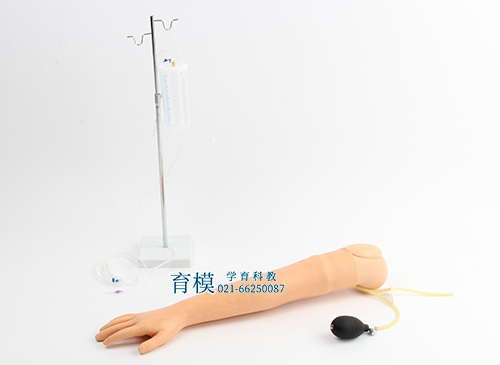 高级手臂动脉穿刺及肌肉注射训练模型
