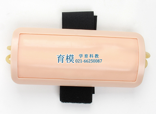 高级前臂静脉穿刺外套