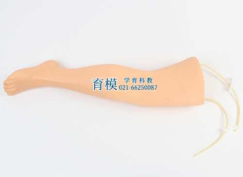 高级静脉输液腿模型