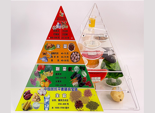 膳食宝塔模型