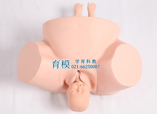 高级助产训练模型