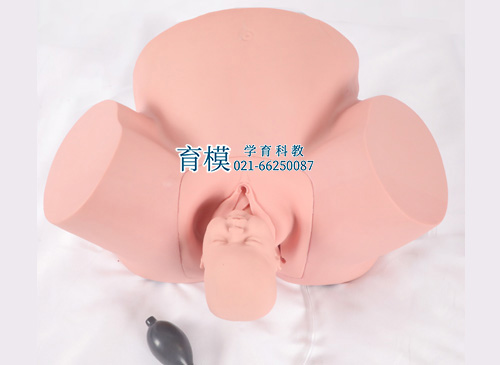 高级难产示教训练模型
