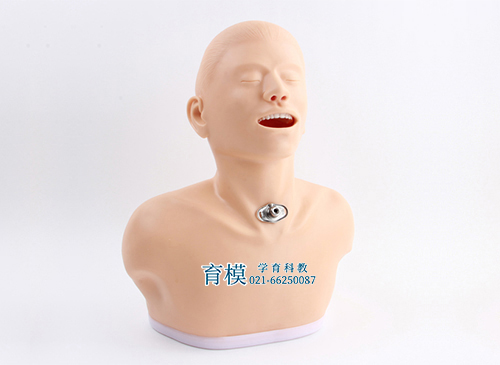 高级成人气管切开护理模型