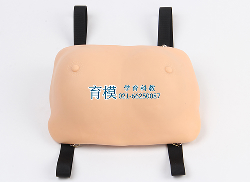 高级乳房检查模型