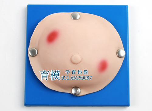 乳腺脓肿检查操作模型