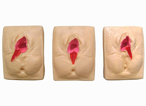 高级外阴缝合练习模型