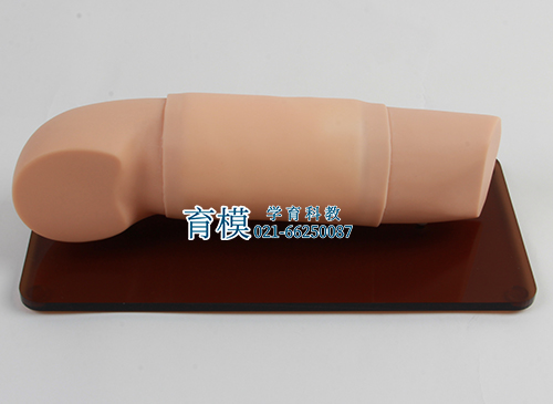 高级皮下埋入避孕练习手臂模型