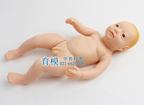 高级出生婴儿模型