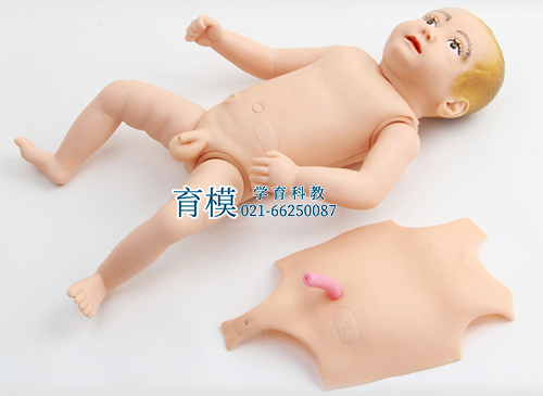 高级婴儿护理人模型