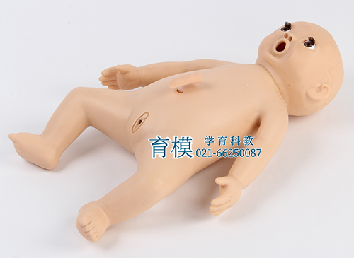 高级婴儿护理模型
