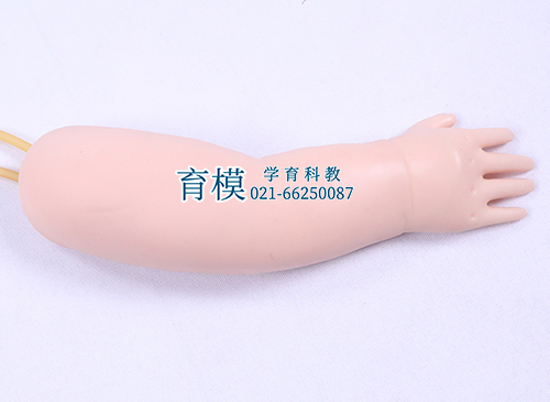 高级婴儿手臂静脉穿刺模型