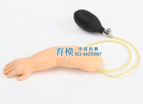 高级婴儿动脉穿刺注射手臂模型
