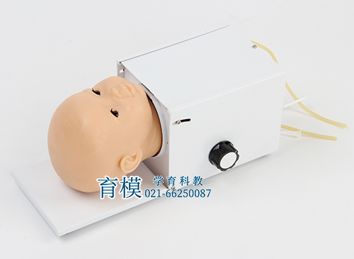 旋转式婴儿头皮静脉穿刺模型