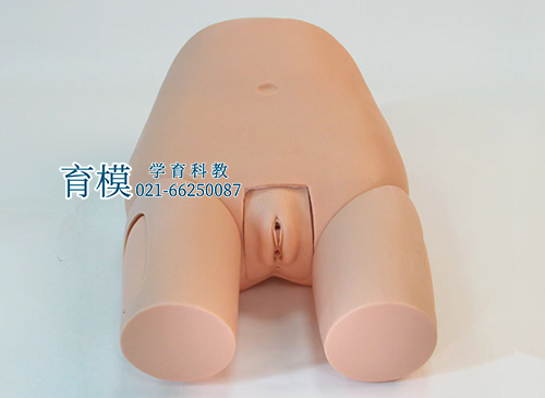 高级子宫底检查评定模型