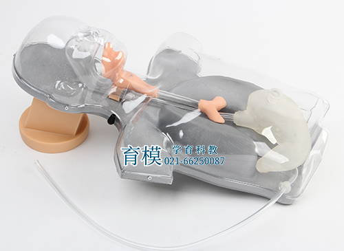 小儿多功能透明鼻饲及洗胃模型