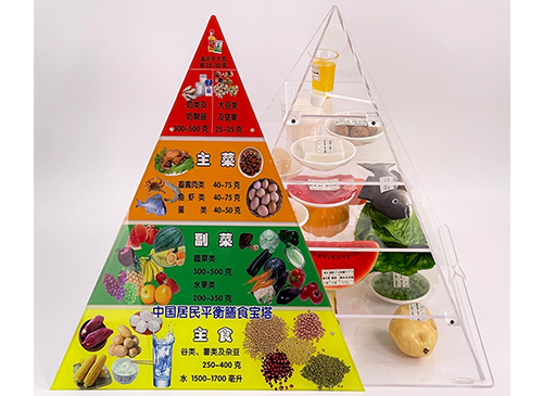 膳食宝塔模型