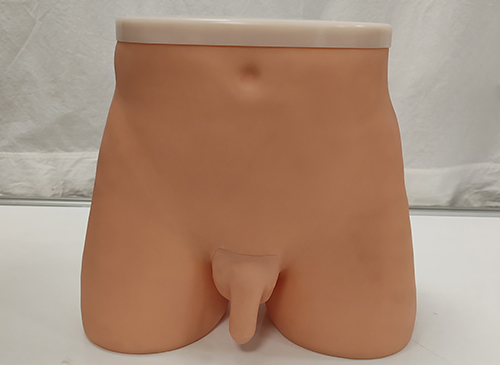 针灸臀部训练模型