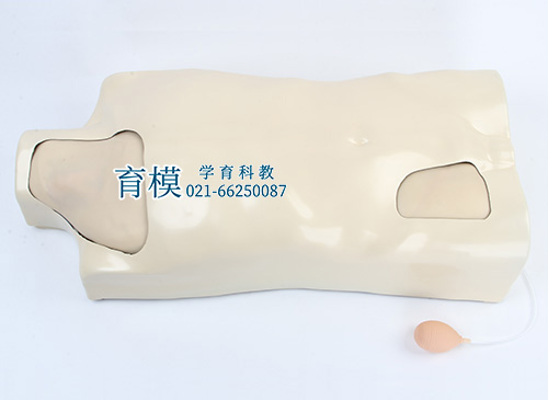 中心静脉穿刺注射躯干模型