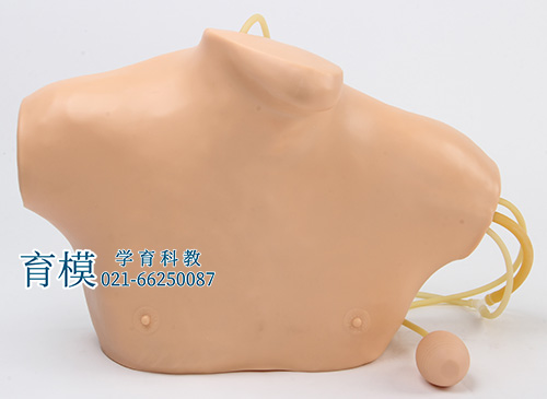 中心静脉穿刺插管模型