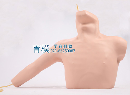 外周穿刺、中心静脉穿刺插管模型