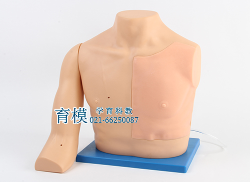 静脉介入训练模型