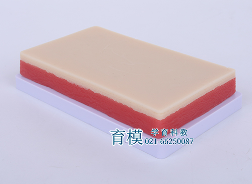 皮肤缝合练习模块