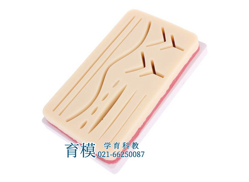 多伤口皮肤缝合练习模块