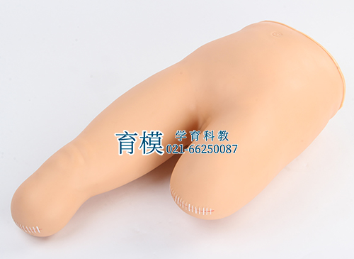 高级低位包扎模型