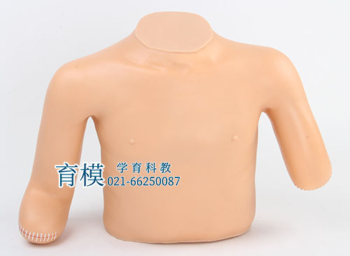 高级高位包扎模型