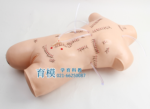 外科缝合包扎展示模型