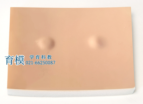 皮脂腺囊肿切除术练习模块